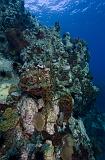 GWD anse a la barque bouee nord 1fev2014_03